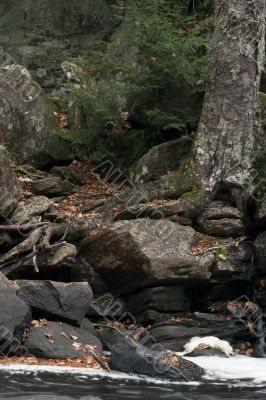 water stream through rocks