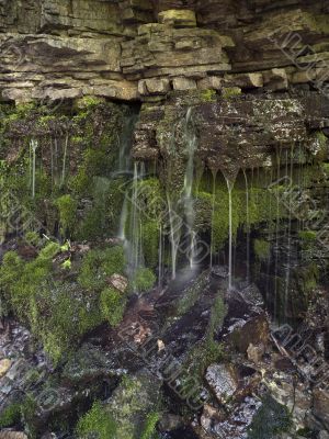 waterfall and moss