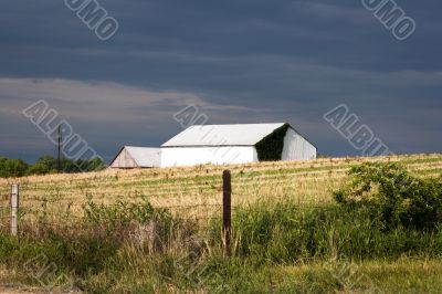 farmhouse in a field