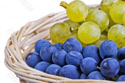 Grape