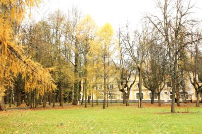 Old-time estate among the autumn trees Old-time estate among the autumn trees
