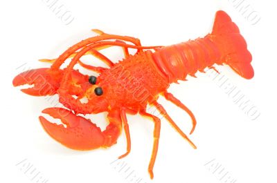 Toy of lobster 