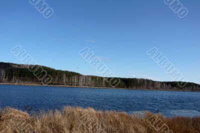 Cloudless sky, lake and forest.