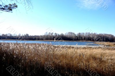 The nature in autumn day.