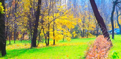 Autumn in the Park