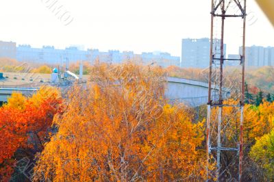 attractions, wheel review attractions, wheel review