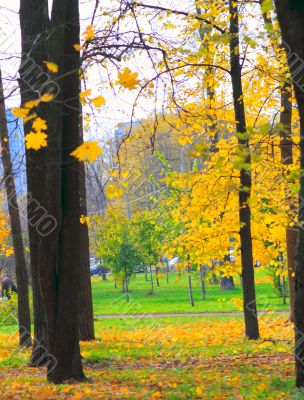 Autumn in the Park 