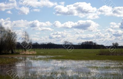 Meadow Meadow