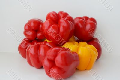 Red and yellow raw pepper