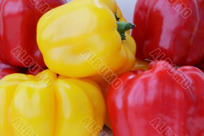 Red and yellow raw pepper