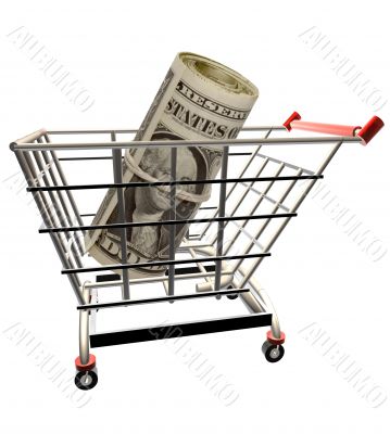 Money in the Shopping cart Money in the Shopping cart