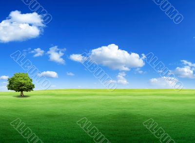 Beautiful natural landscape Beautiful natural landscape