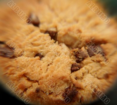 macro shot of a cookie