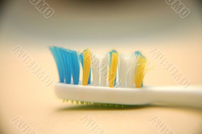 macro shot of a tooth brush