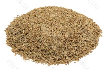 cumin seeds , asian spice,isolated on a white background.