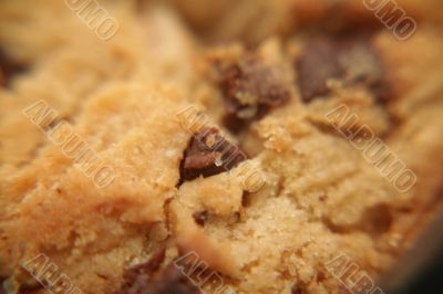 macro shot of a cookie