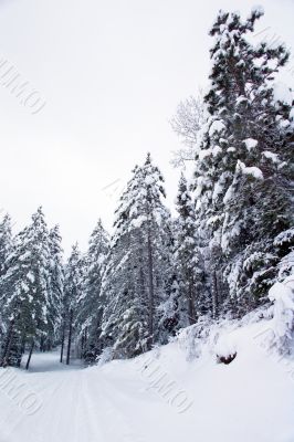 snow machine trail