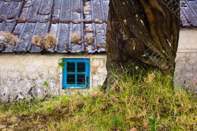 tree trunk and warehouse