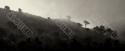 Greek Island Fog