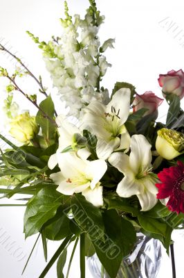 Vertical Bouquet on White Vertical Bouquet on White