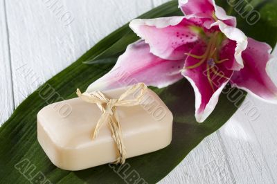 soap and lily soap and lily