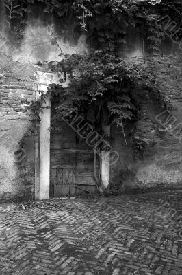 Venice Wooden Door