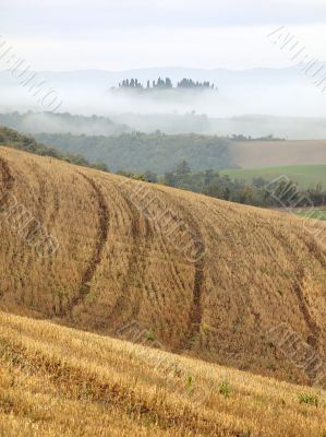 Tuscan Fields