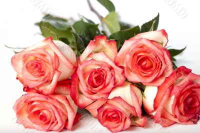 pink rose bunch