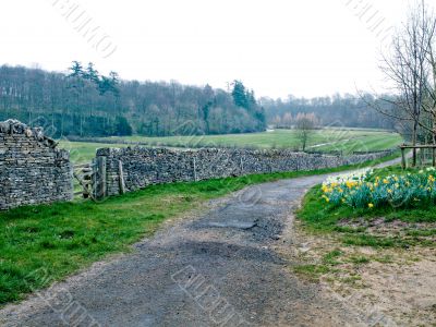 stone wall in countryside