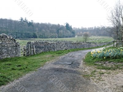 walled meadow