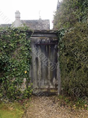 Wooden Gate with Vines