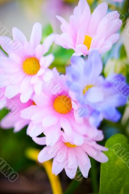 silk flower closeup