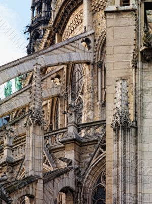 Side of Notre Dame