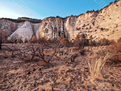 cliffs in zion national park