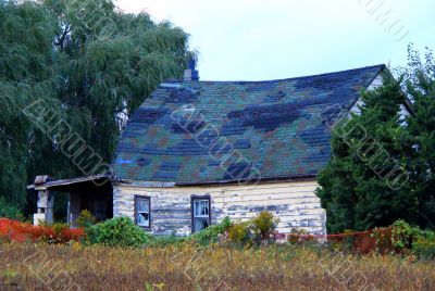 the barn