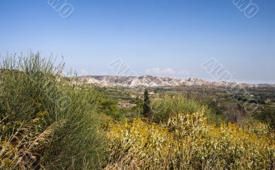 view of bushes with mountains in background