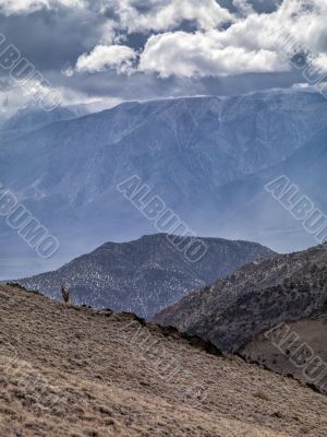 distance of a view of valley