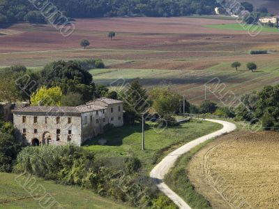 pathway in the field in tuscany