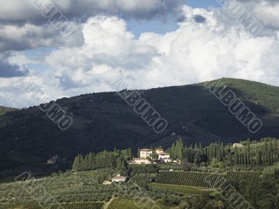 green hill in the field of tuscany