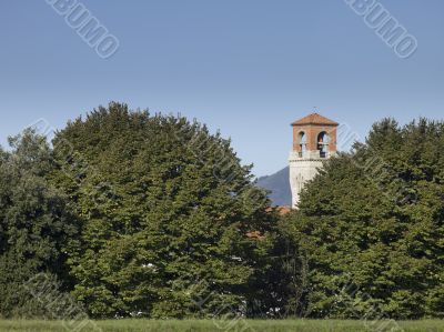 tall trees covering the church in tuscany