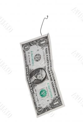 dollar on the fish hook dollar on the fish hook