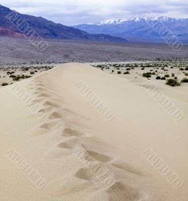 sand dune with snow capped mountains