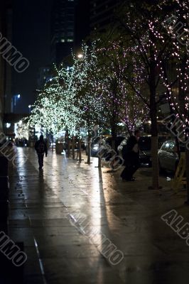 electric lights on trees in new york city at night