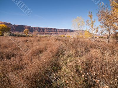 distance view of cliff in utah