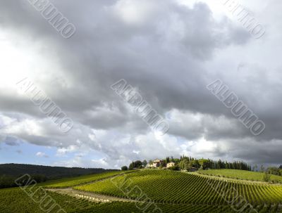 tuscan vineyard with dramatic clouds