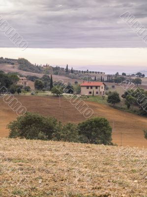 view of fields in tuscany