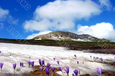 spring on mountain