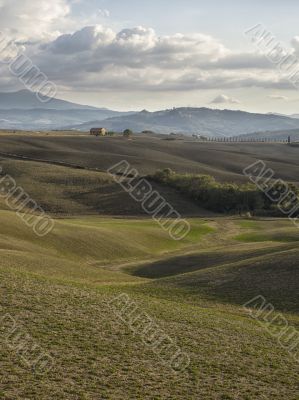 view of barn field in tuscany
