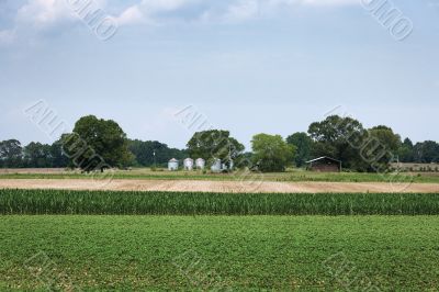 Fields and Silos