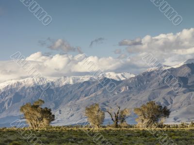 distance view of mountain range